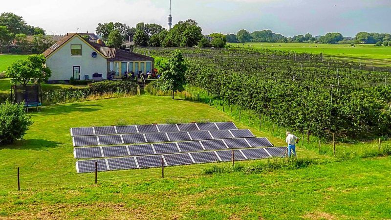Solar_farm-800x450